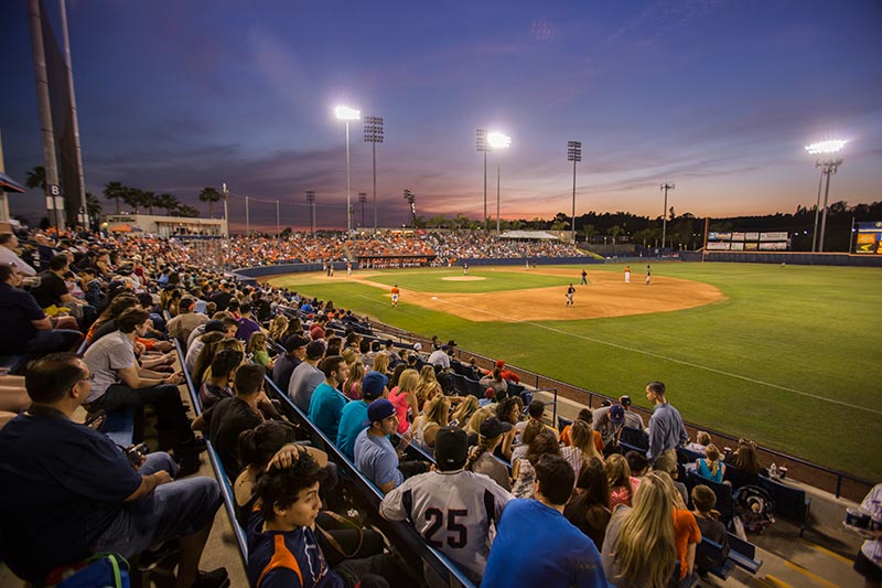 Baseball attendees at Night of the Pachyderm