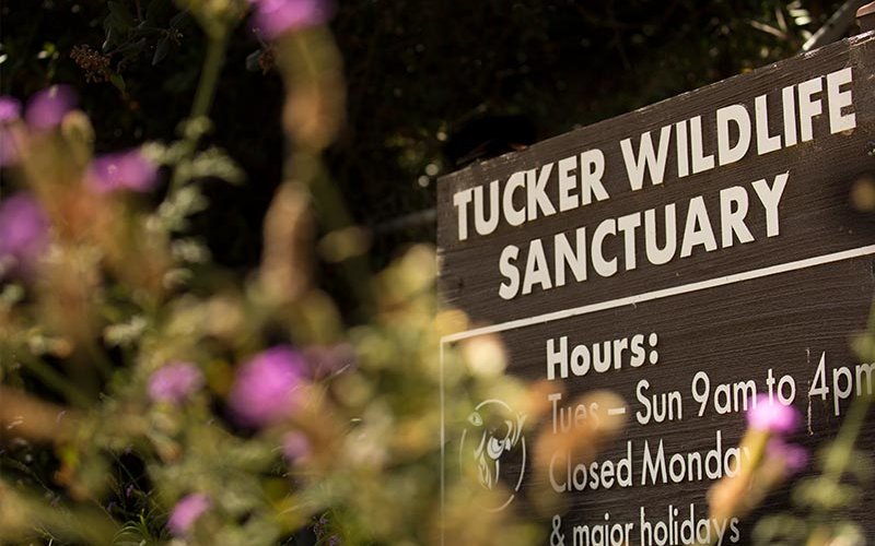 Tucker Wildlife Sanctuary