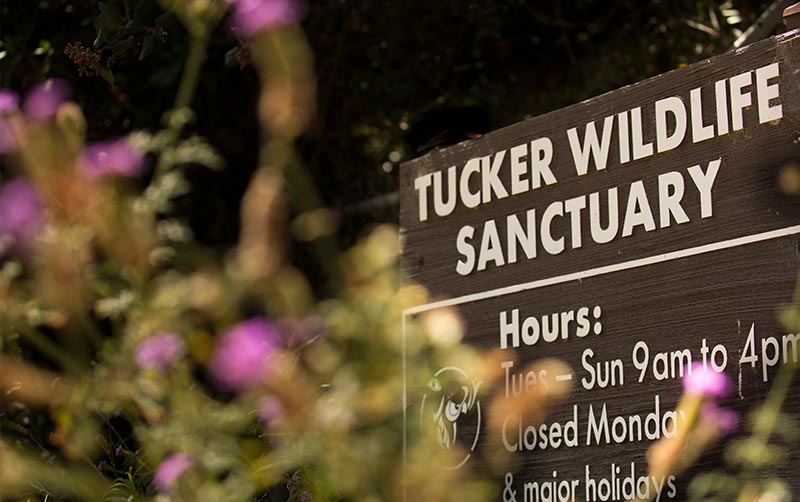 Tucker Wildlife Sanctuary