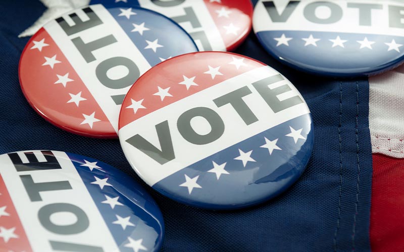Vote 2020 buttons