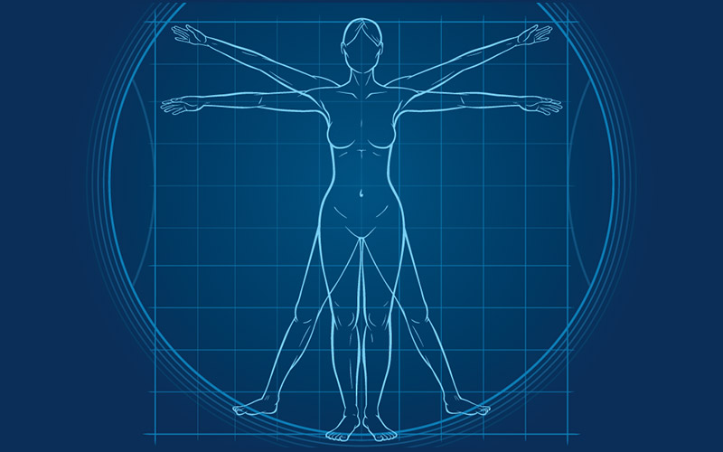 Vitruvian woman