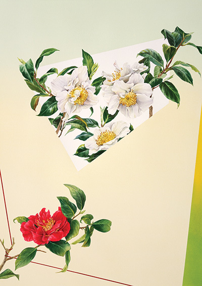Flower Composition - Camellia