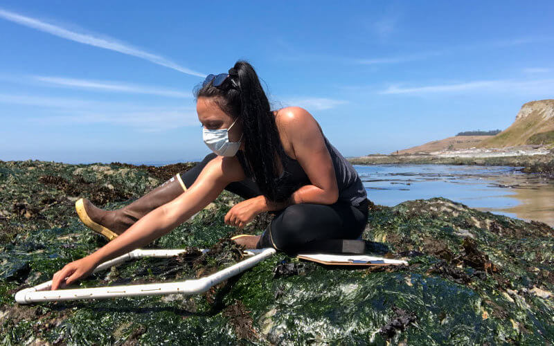 Angelina Zuelow conducting Ocean Fieldwork