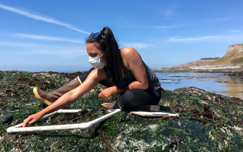 Angelina Zuelow conducting Ocean Fieldwork