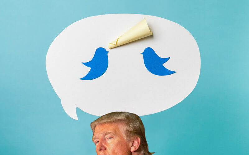 Trump Illustration with Social Media, Trump Photo Courtesy Matt A.J