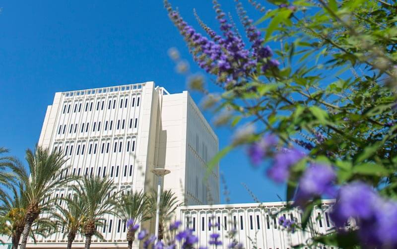 FLower view of Langsdorf Hall
