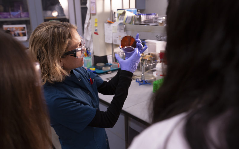 Maria Soledad Ramirez working in laboratory