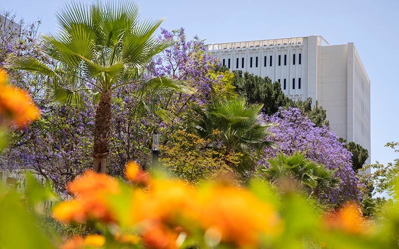 Spring flowers and Langsdorf Hall