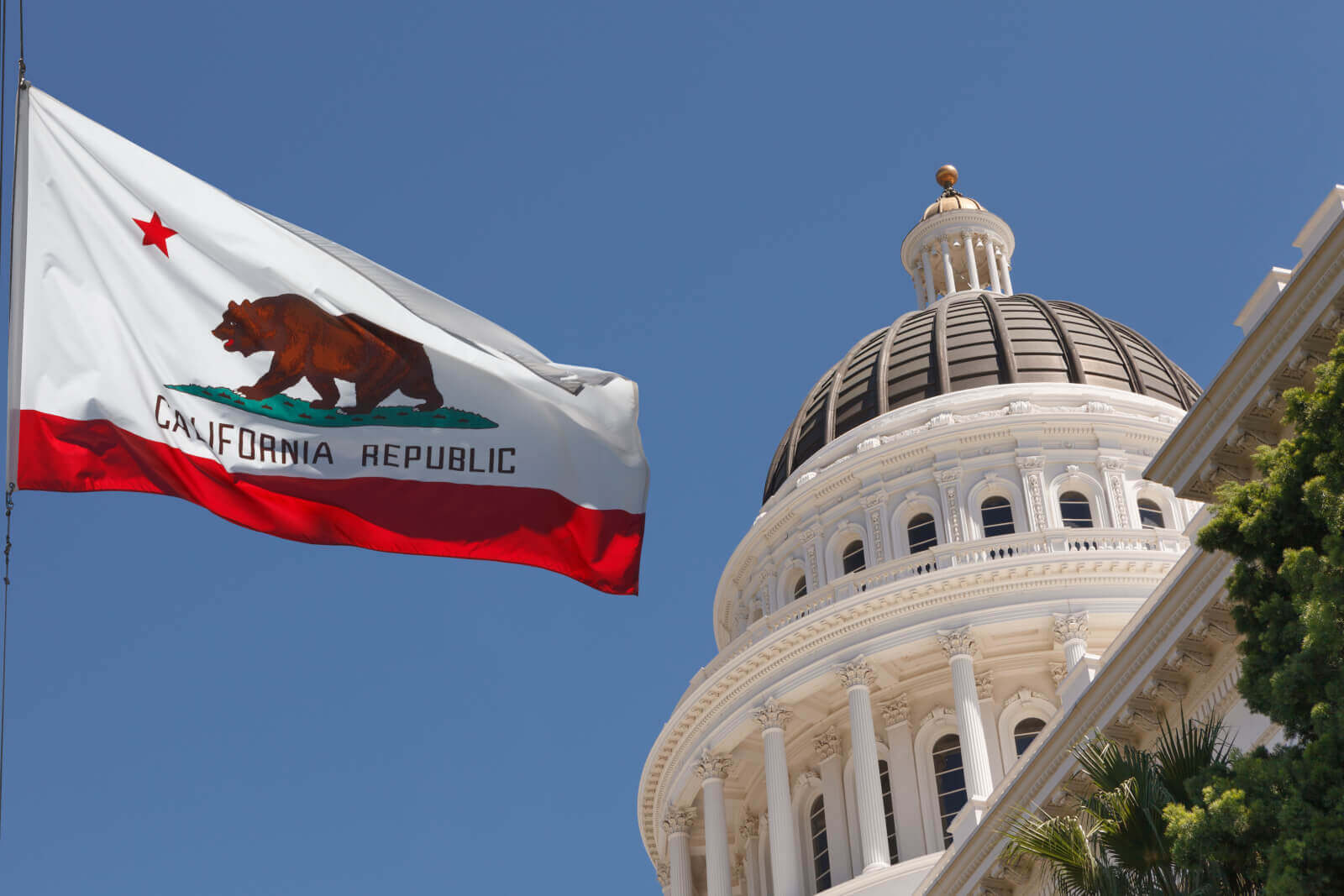 California state flag with capitol building in background