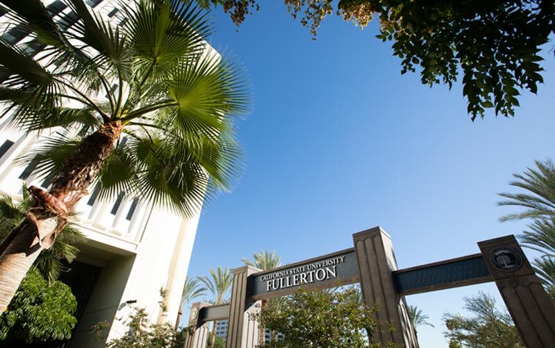 Gateway with Palm Tree