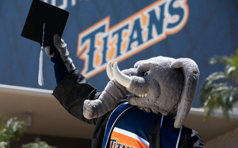 Tuffy the Titan with a graduation cap.