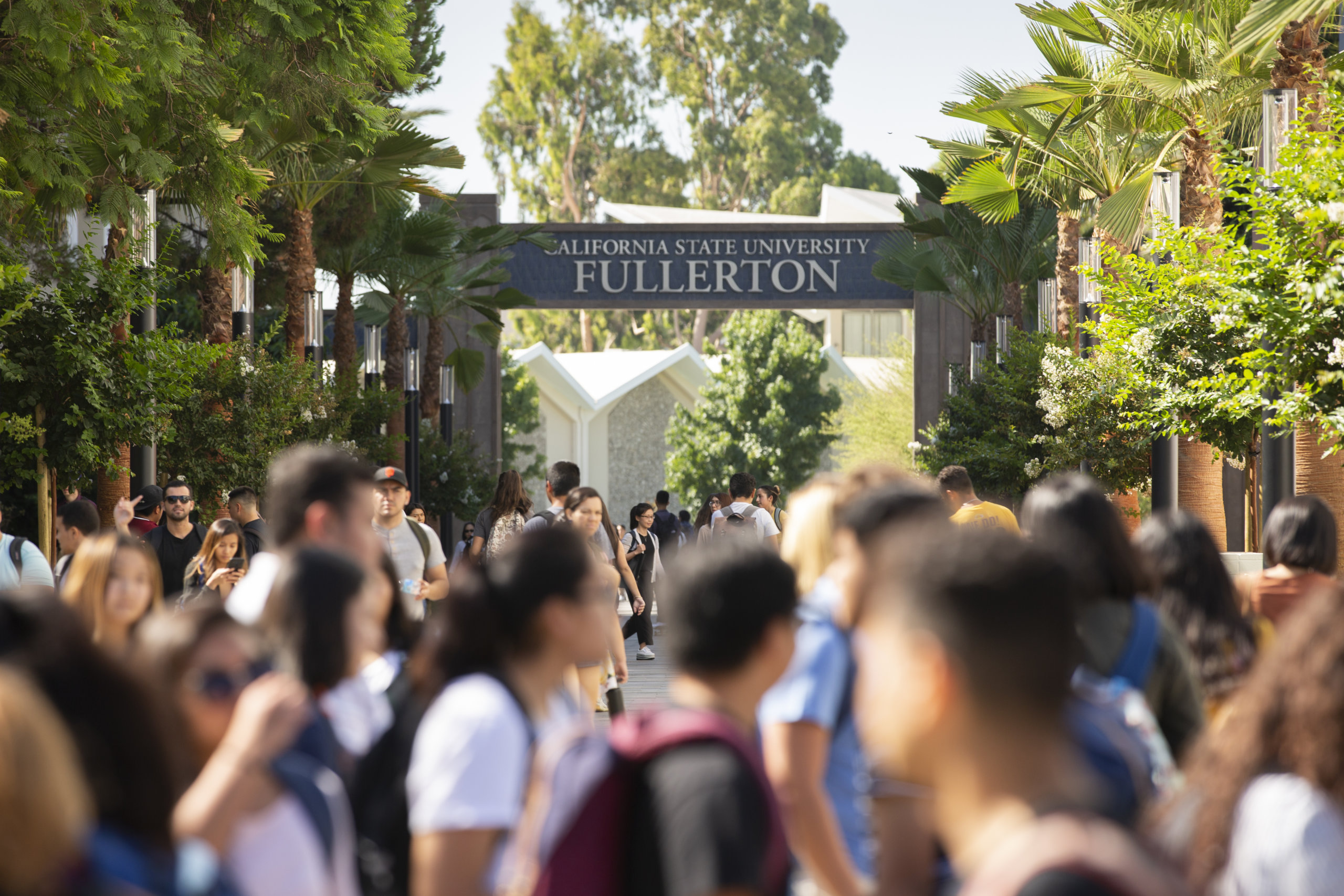 Cal State Fullerton Login - chg1p5o
