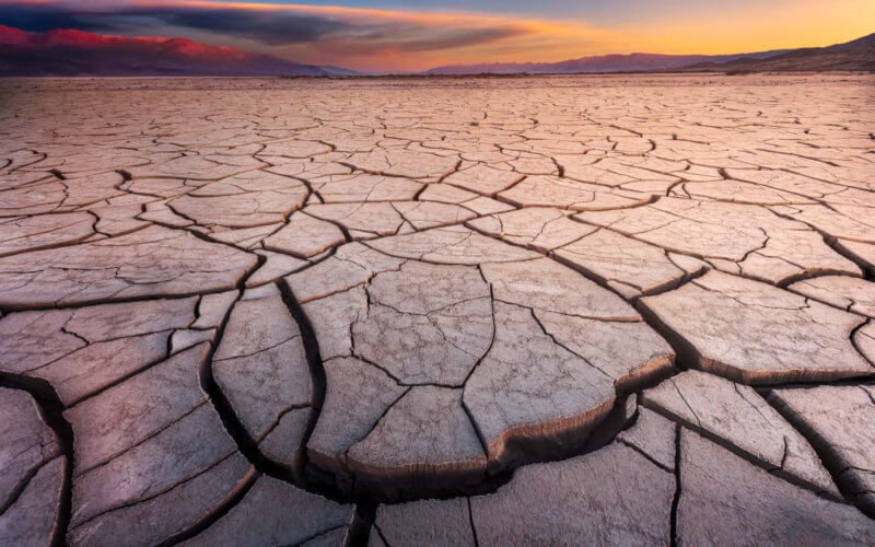 Cracked Mud Flats Bathed in Dawn Light