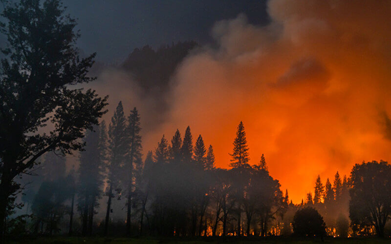 Wildfire burns in Yosemite