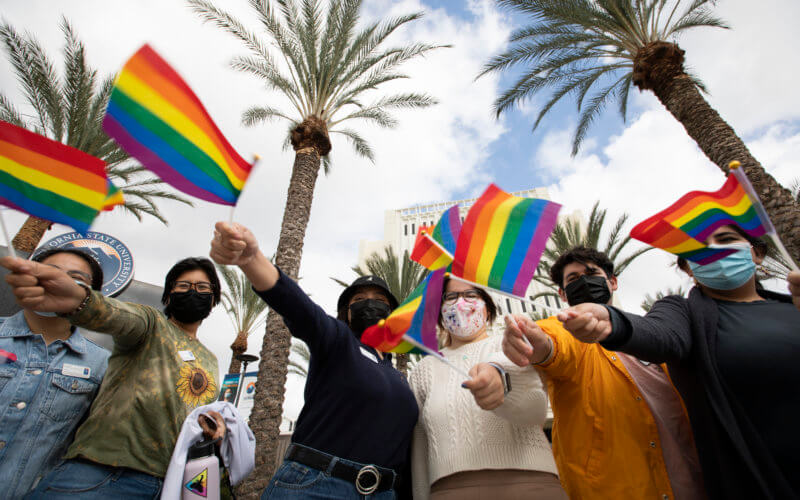 LGBTQ Celebration Flags