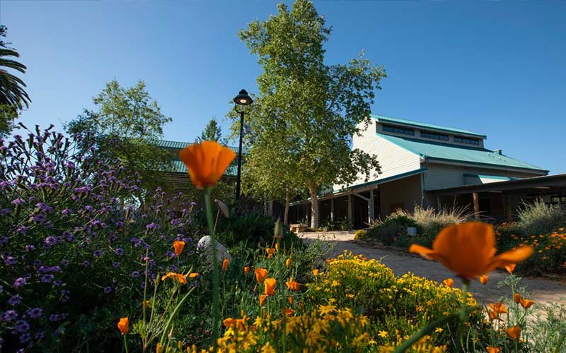 Colorful orange, yellow, and purple flowers and green trees adorn the pathway to an event building at CSUF Fullerton Arboretum