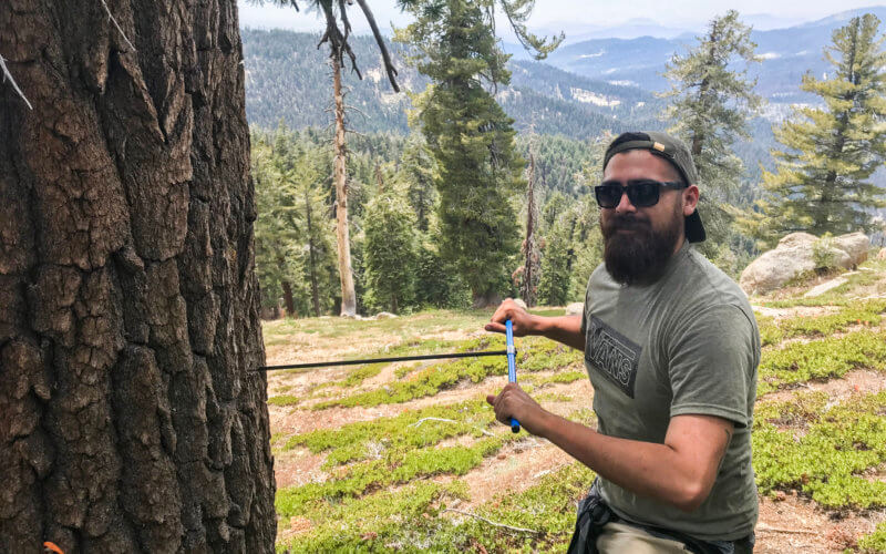 Raymond Villalba conducting tree-ring research in Sequoia National Park