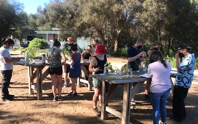 Eleven diverse students working together outdoors on internships at tall tables