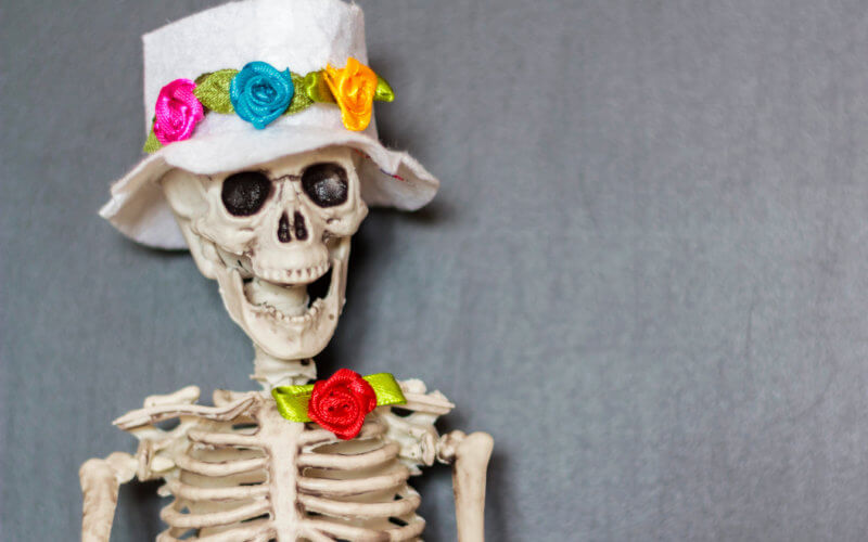 Funny death concept Skeleton with hat and colorful flowers