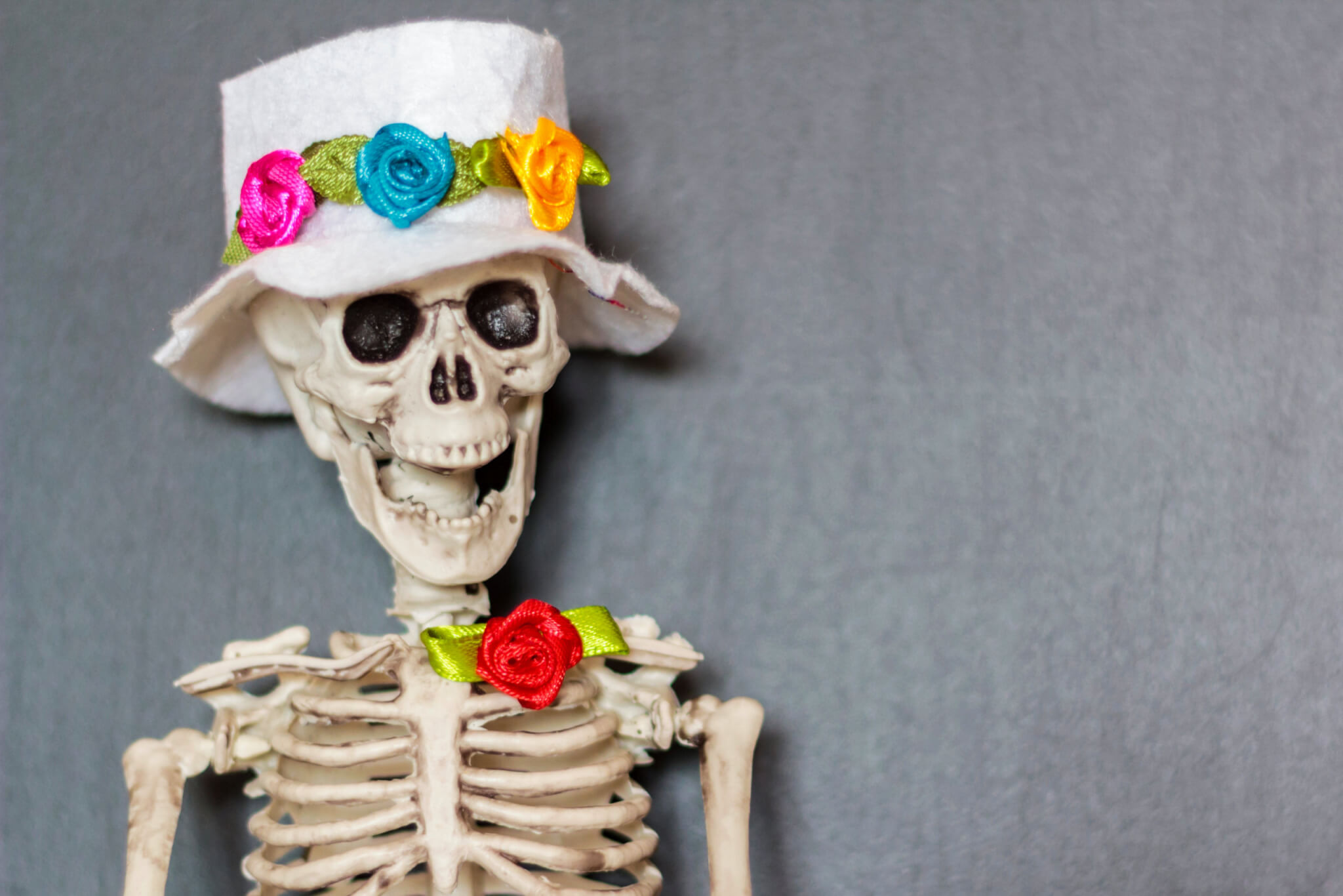 Funny death concept Skeleton with hat and colorful flowers