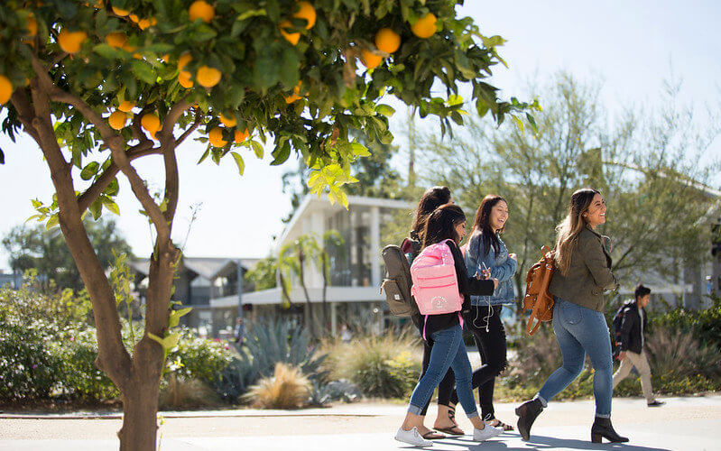 Students walk on campus