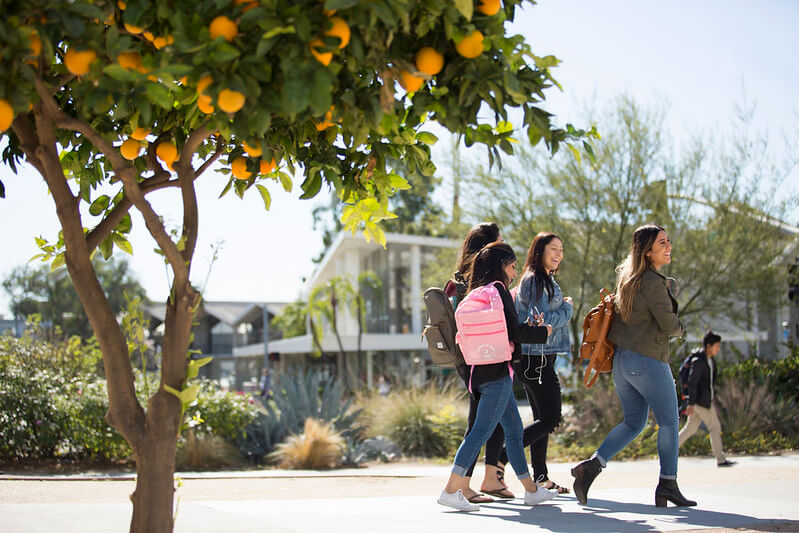 Students walk on campus