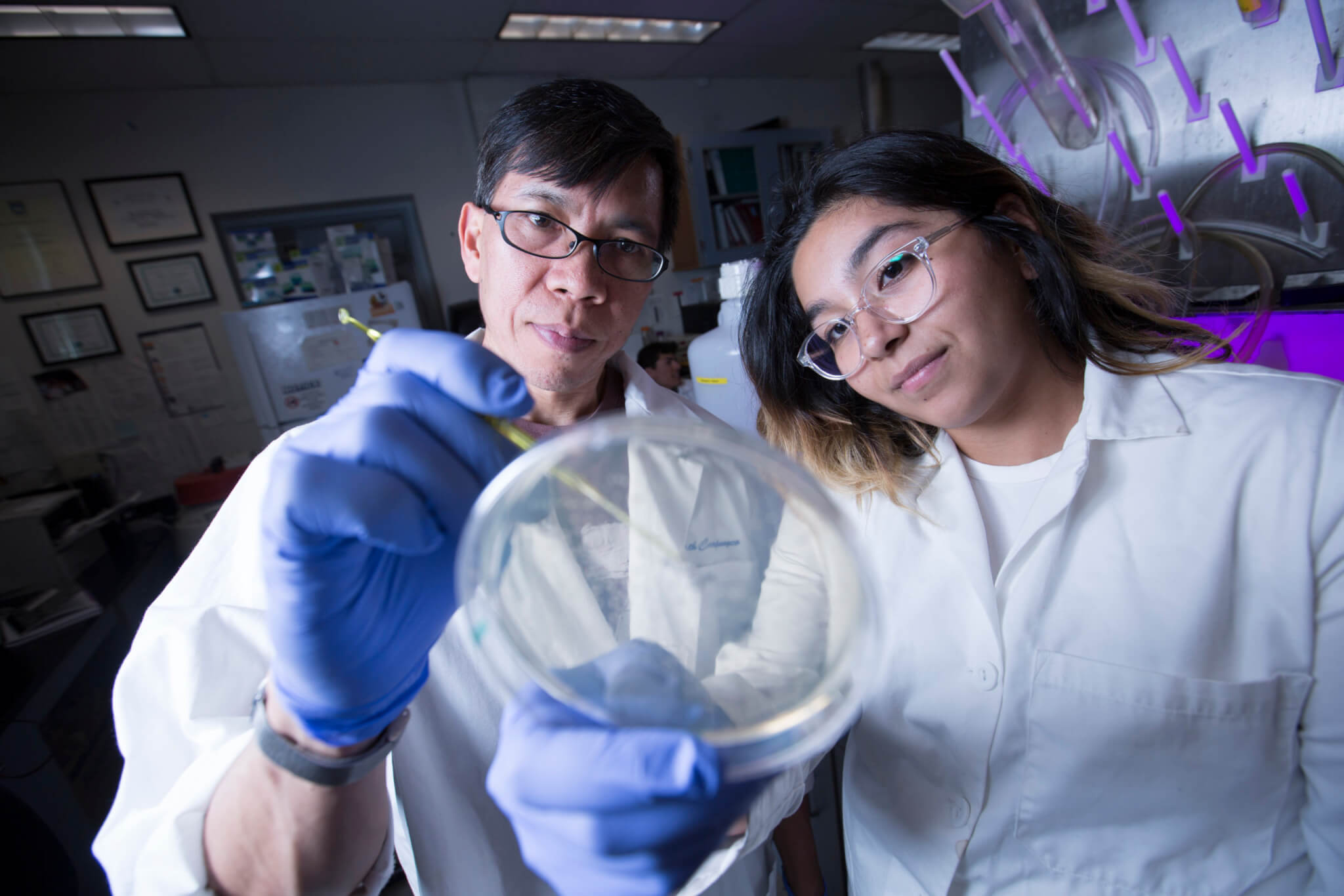 1 7 Million NIH Grant To Train Students In Biomedical Science CSUF News   7 5 17 Cuajungo Research Mg 004 Scaled 