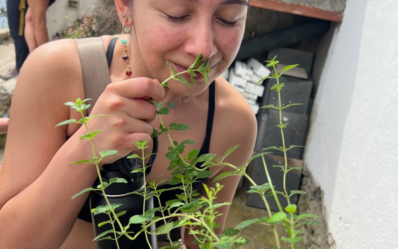 Student on hike enjoying the smell of growing basil from a farmer who shared his farm-to-table practices in Ischia, Italy.