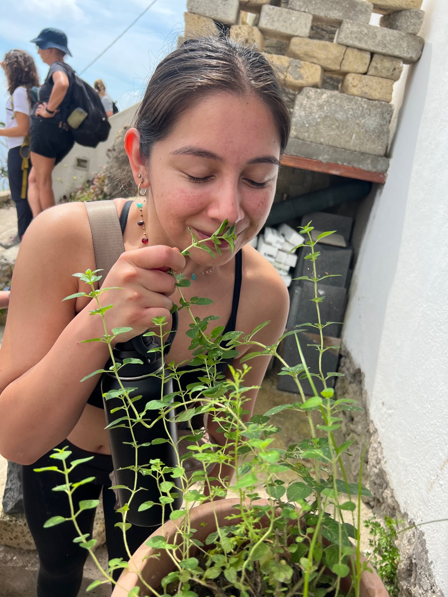 Student on hike enjoying the smell of growing basil from a farmer who shared his farm-to-table practices in Ischia, Italy.