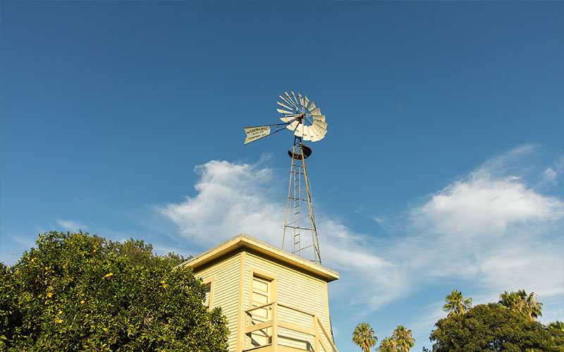 Metal windmill standing on top of wooden building at Fullerton Arboretum. Above it is a bright, blue sky with few wispy clouds