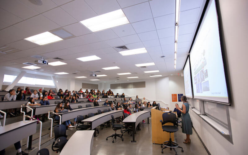 Lecturer presenting to a room full of students