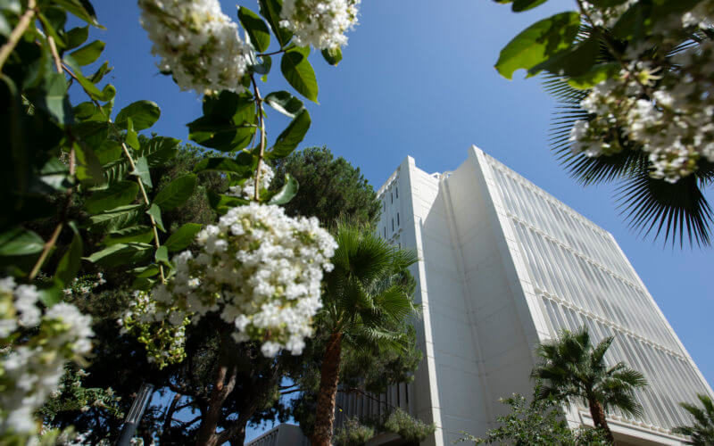 Langsdorf Hall surounded by flowering trees.
