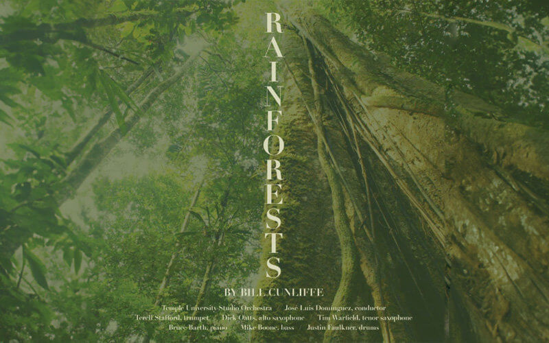 cover image of Rainforests music release artwork