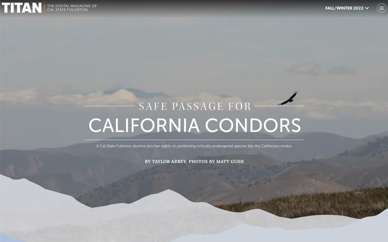 a photo of a condor and text on a screen