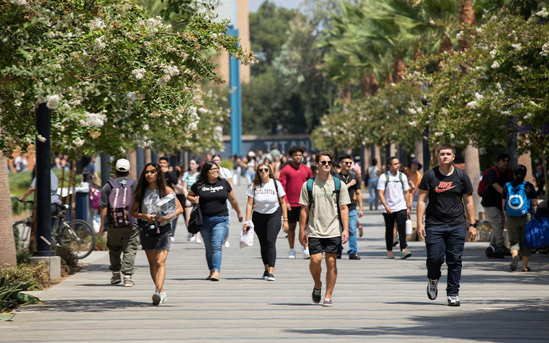 Reflecting On An Impactful Year With Csuf Extension And International Programs Csuf News Reflecting On An Impactful Year With Csuf Extension And International Programs Csuf News