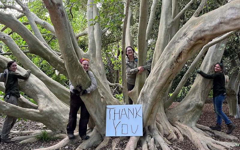 Four horticulturists hugging the large Ombu tree at Fullerton Arboretum, with a sign placed on the ground that reads “Thank You.”