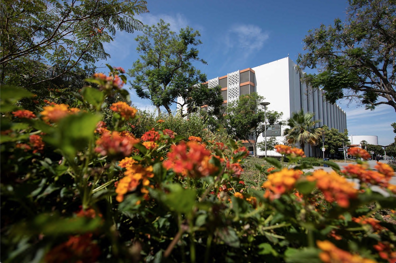 McCarthy Hall