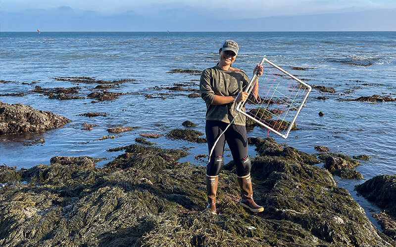 Megan-Nguyen studies seaweed in intertidal zone
