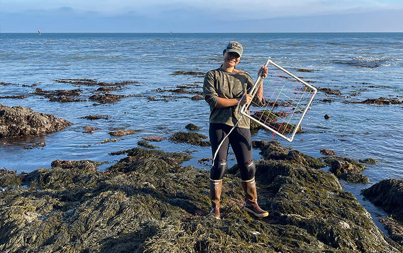 Megan-Nguyen studies seaweed in intertidal zone