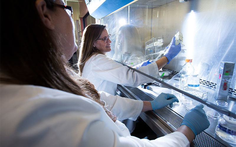 Two females in white lab coats observe specimens on petri dishes.