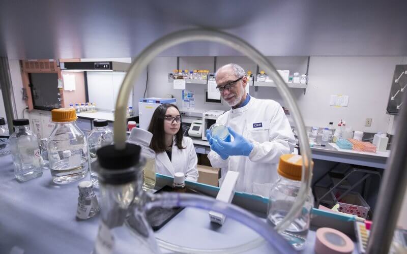 Cancer student researcher Vyanka Mezcord and Marcelo E. Tolmasky work on cancer research