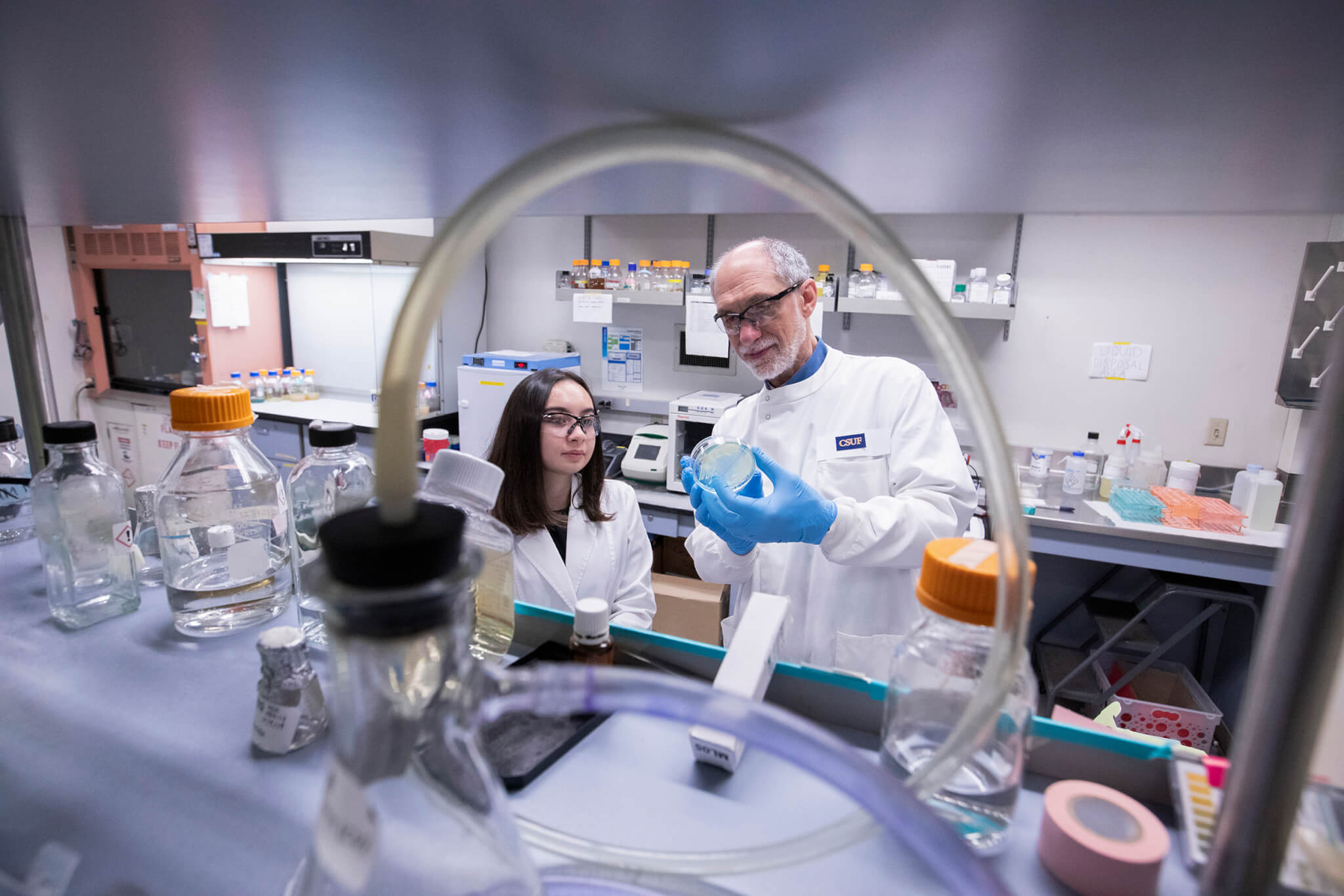Cancer student researcher Vyanka Mezcord and Marcelo E. Tolmasky work on cancer research