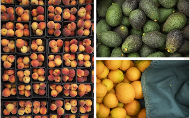 Groupings of peaches, avocados, and oranges