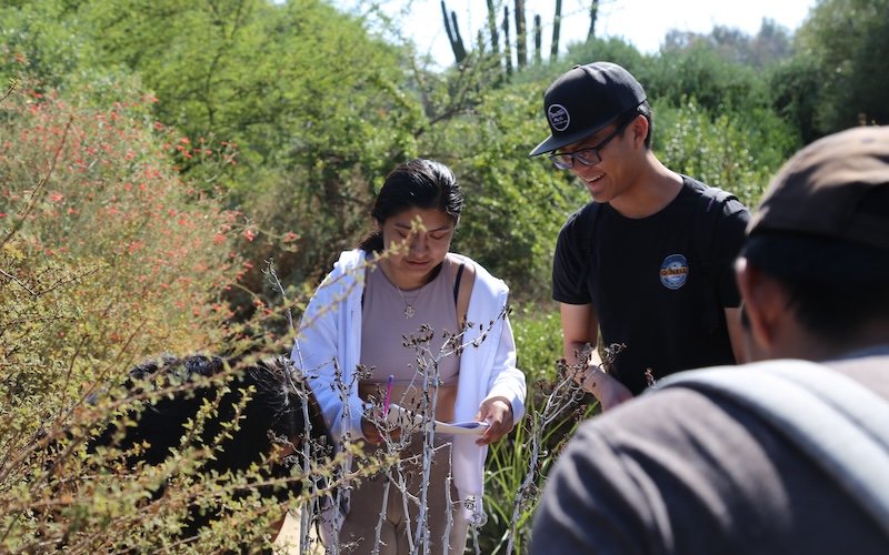 students working in arboretum