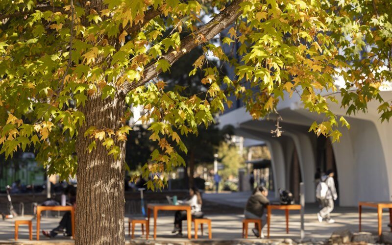 Students work on laptops at orange tables and benches lining Cal State Fullerton's campus quad.