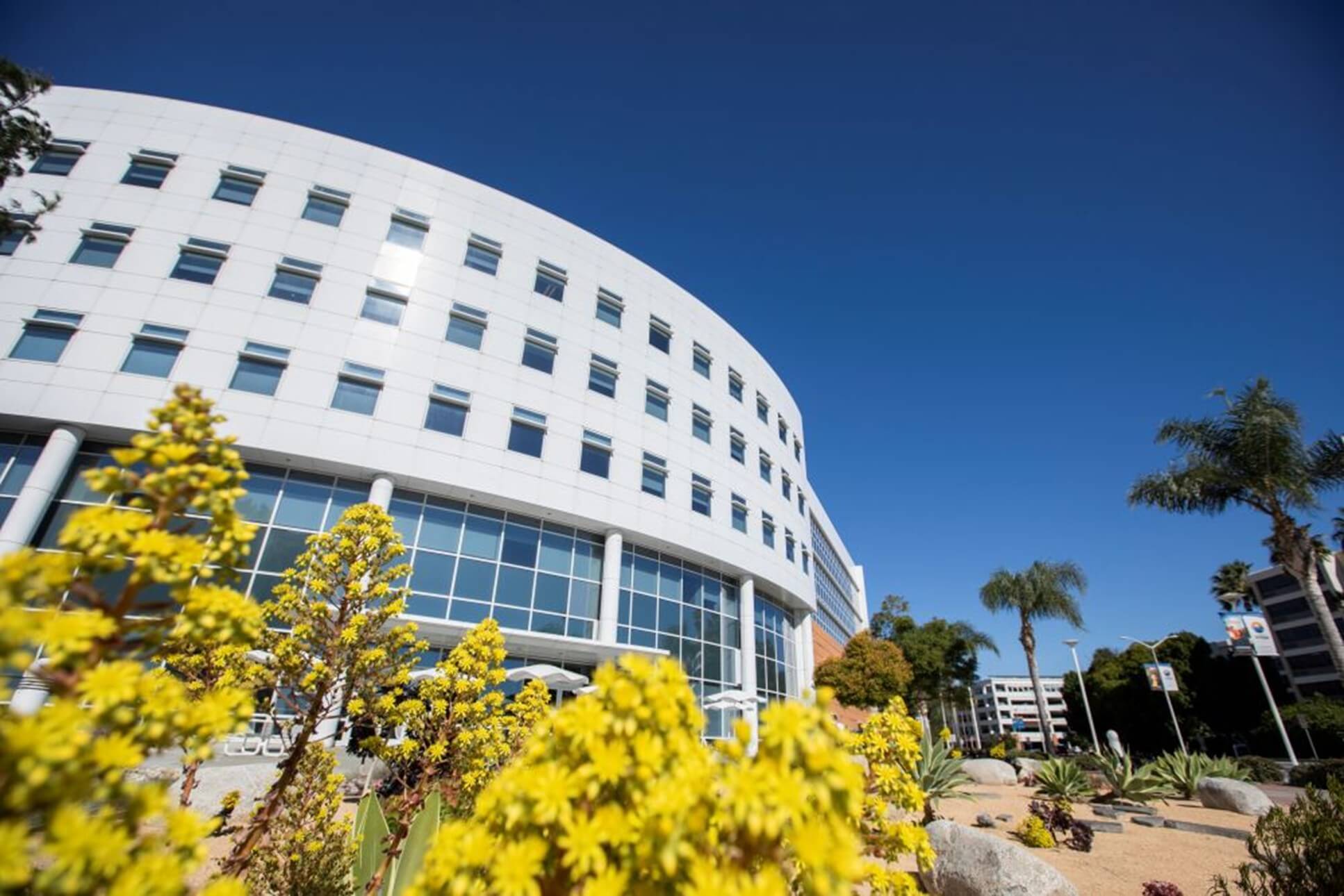 Titan Business Executive Fellow Program to Connect Students and Faculty With Industry Professionals