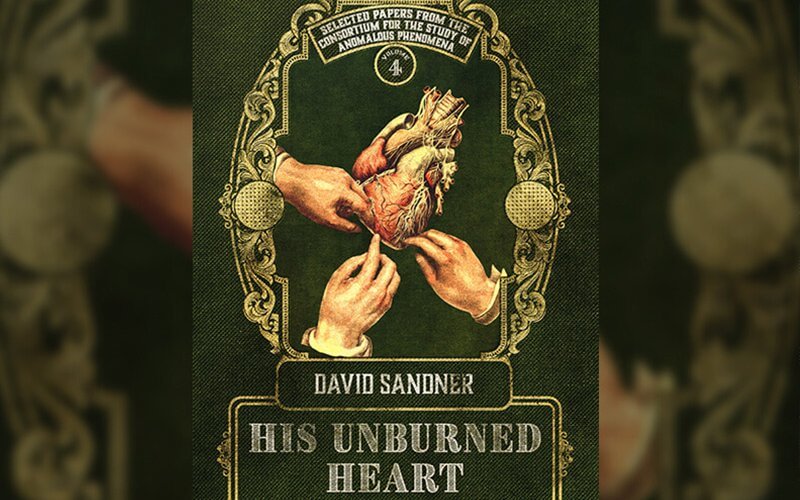 The book cover of "His Unburned Heart" by David Sandner