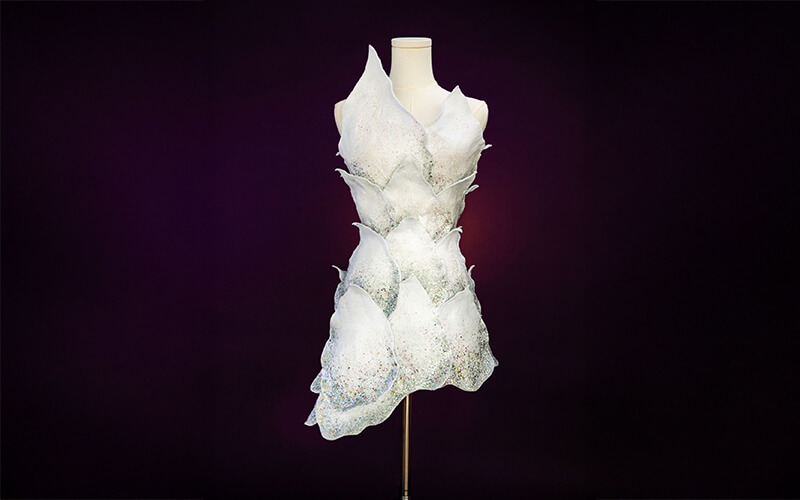 A dress inspired by the ballet "Swan Lake"