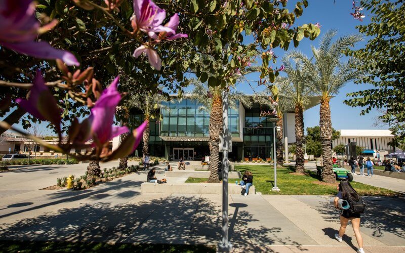 Students walk under Spring Flowers with Titan Student Union in background