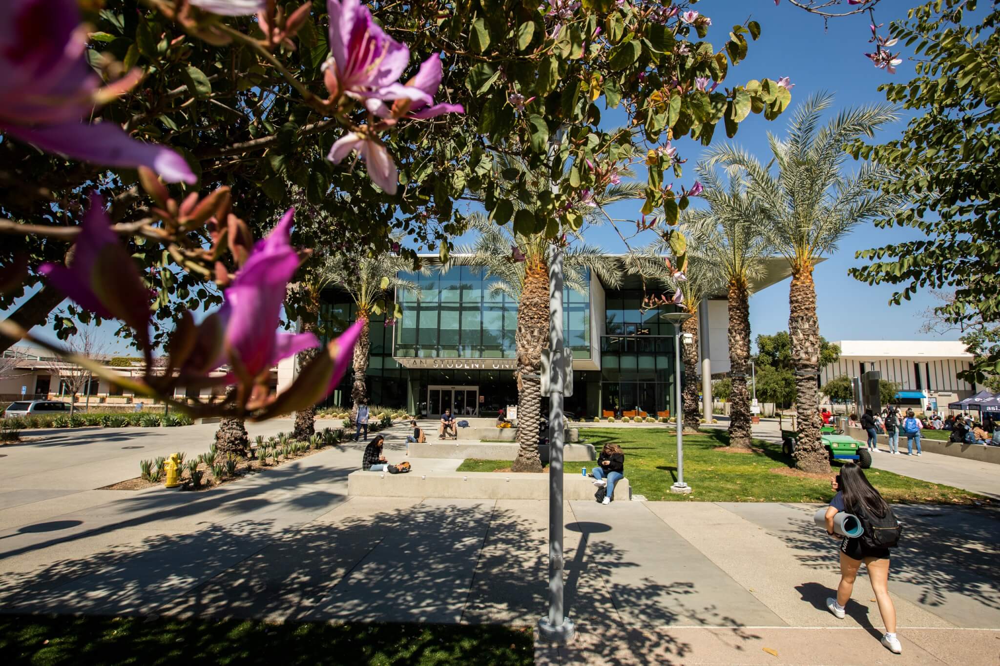 Students walk under Spring Flowers with Titan Student Union in background